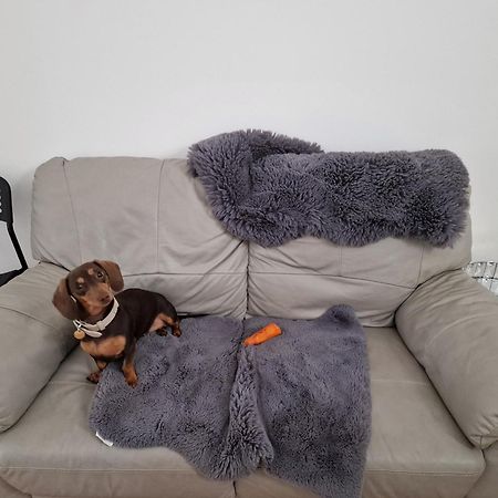 Ostello Aunty Katie'S House, Ni Tourist Board Certified & Located On The Main Oldpark Road To Belfast, With Free Continental Breakfast & Free Ultra Fast Sky Internet, Free Sky Sports & Free Sky Cinema, Self-Check In After 10Pm Gmt Esterno foto