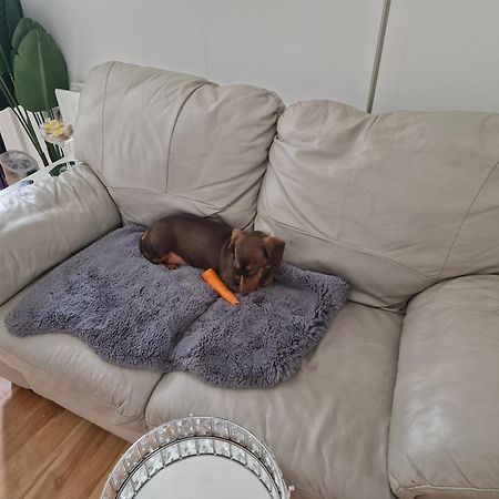 Ostello Aunty Katie'S House, Ni Tourist Board Certified & Located On The Main Oldpark Road To Belfast, With Free Continental Breakfast & Free Ultra Fast Sky Internet, Free Sky Sports & Free Sky Cinema, Self-Check In After 10Pm Gmt Esterno foto