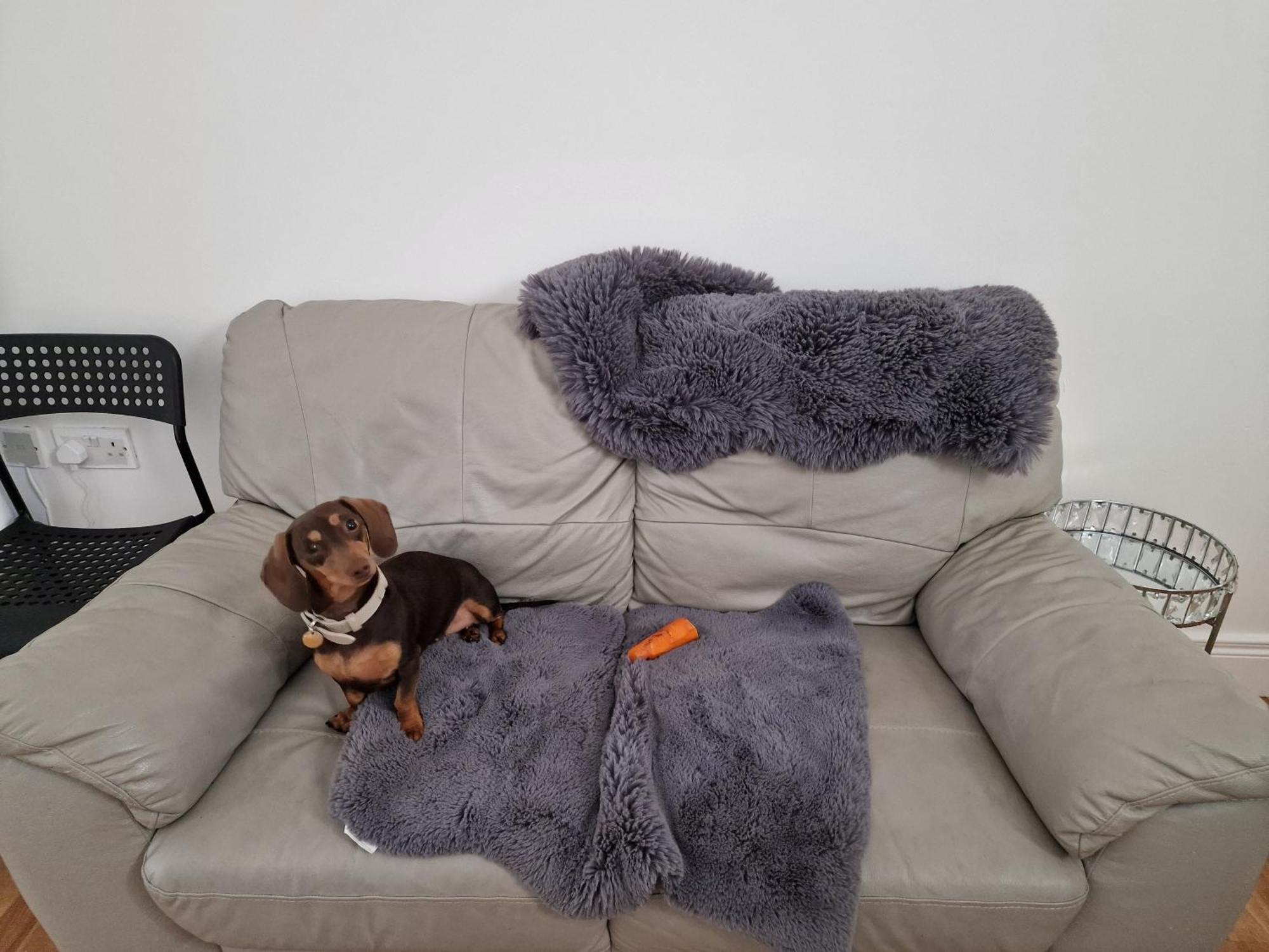 Ostello Aunty Katie'S House, Ni Tourist Board Certified & Located On The Main Oldpark Road To Belfast, With Free Continental Breakfast & Free Ultra Fast Sky Internet, Free Sky Sports & Free Sky Cinema, Self-Check In After 10Pm Gmt Esterno foto
