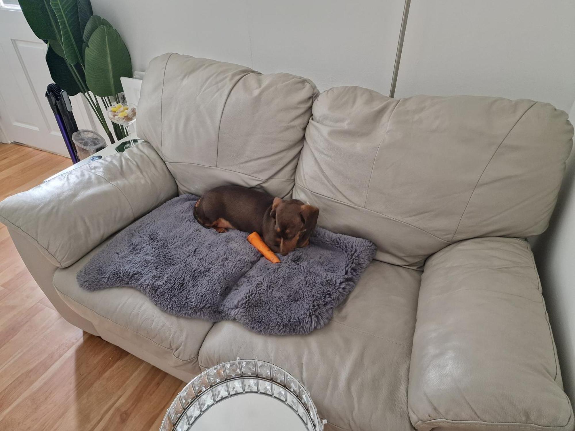Ostello Aunty Katie'S House, Ni Tourist Board Certified & Located On The Main Oldpark Road To Belfast, With Free Continental Breakfast & Free Ultra Fast Sky Internet, Free Sky Sports & Free Sky Cinema, Self-Check In After 10Pm Gmt Esterno foto